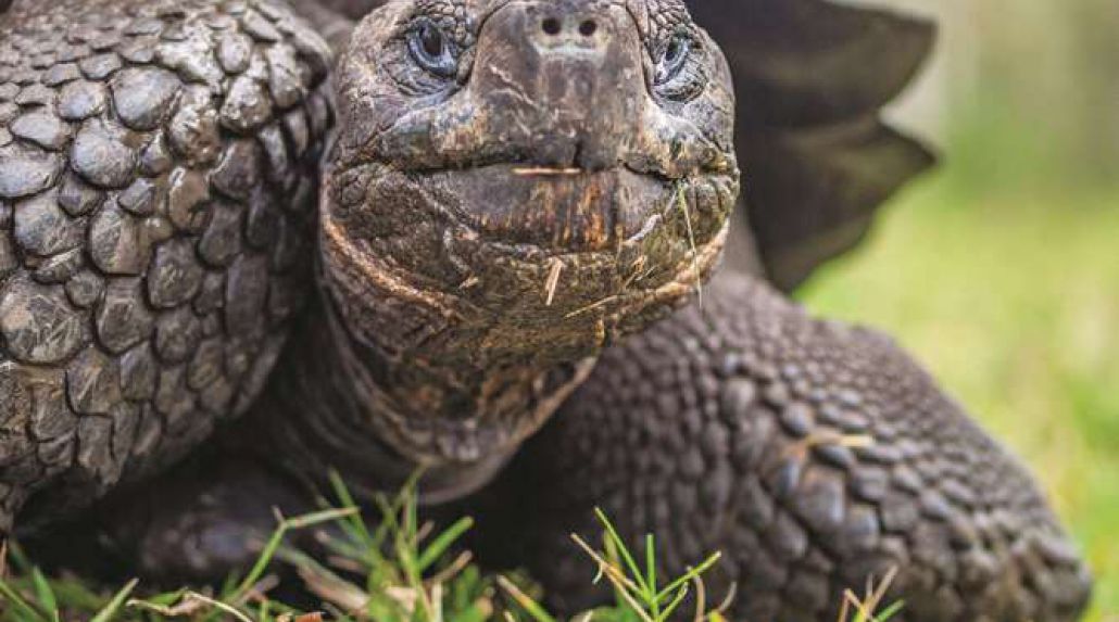 All Inclusive Galapagos Adventure